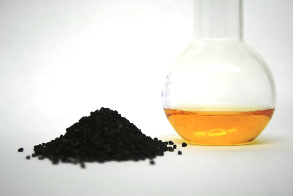 Black seed oil health benefits islamic roots habbasauda